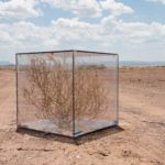 OPERATION TUMBLEWEED