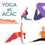 Weekly Yoga with Alison Herlihy