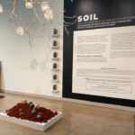 Soil