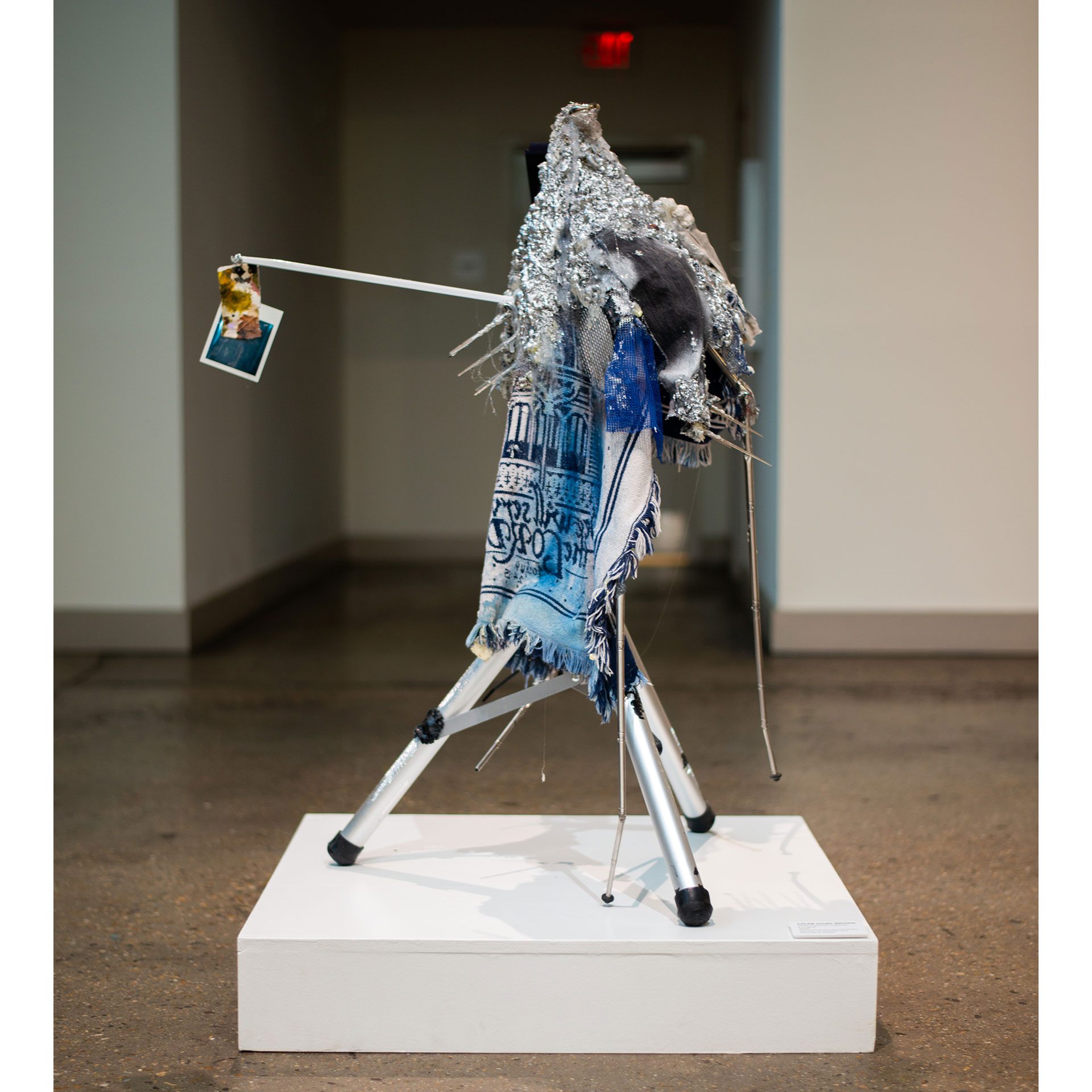 Post-Colonial Cyborg Fungus
