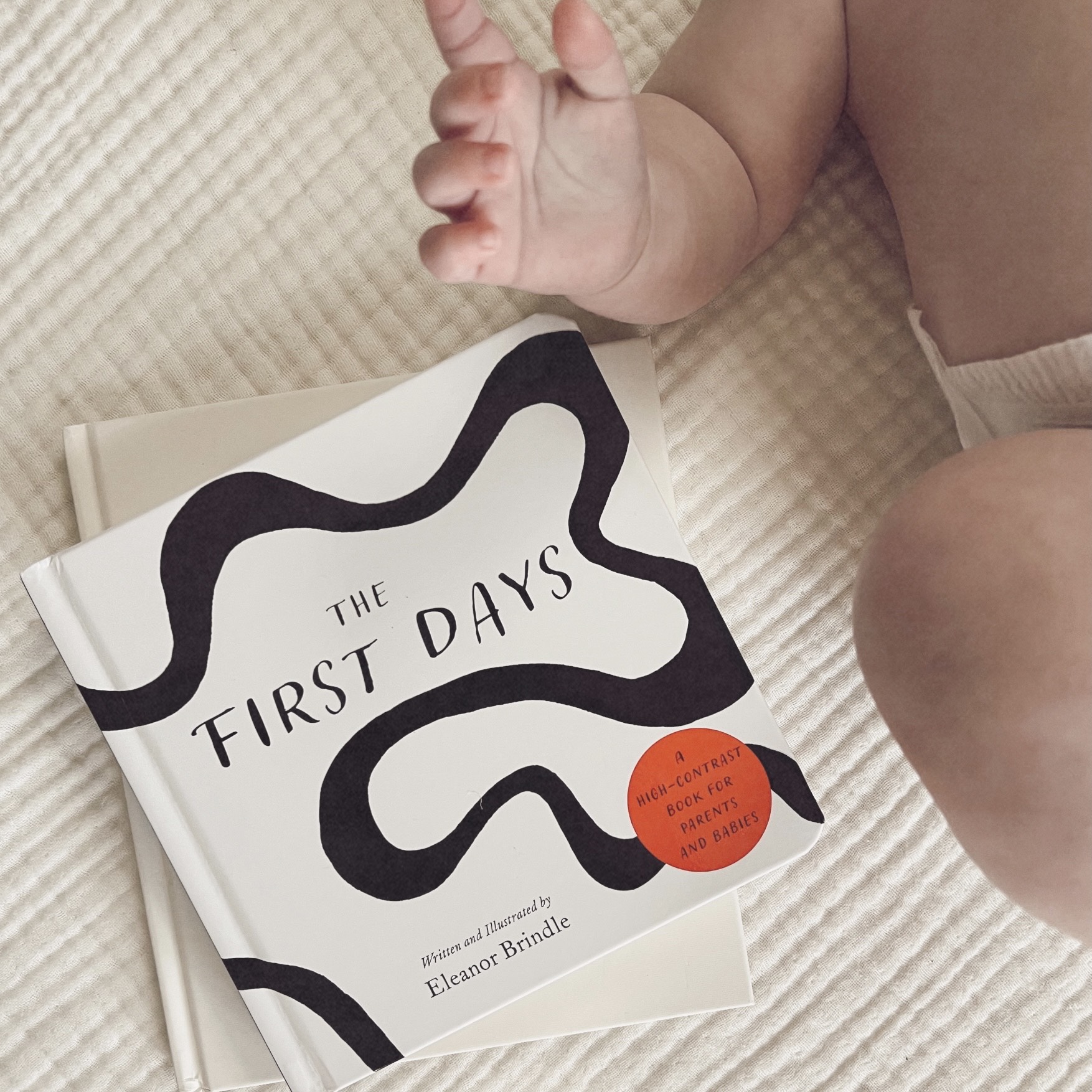 Family Studio: The First Days