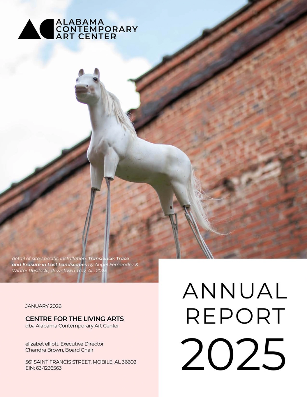 Cover of the 2025 Annual Report